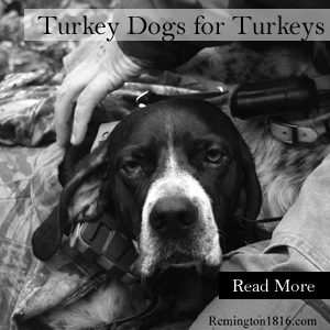 Oct 12.jpg - 69991 Bytes